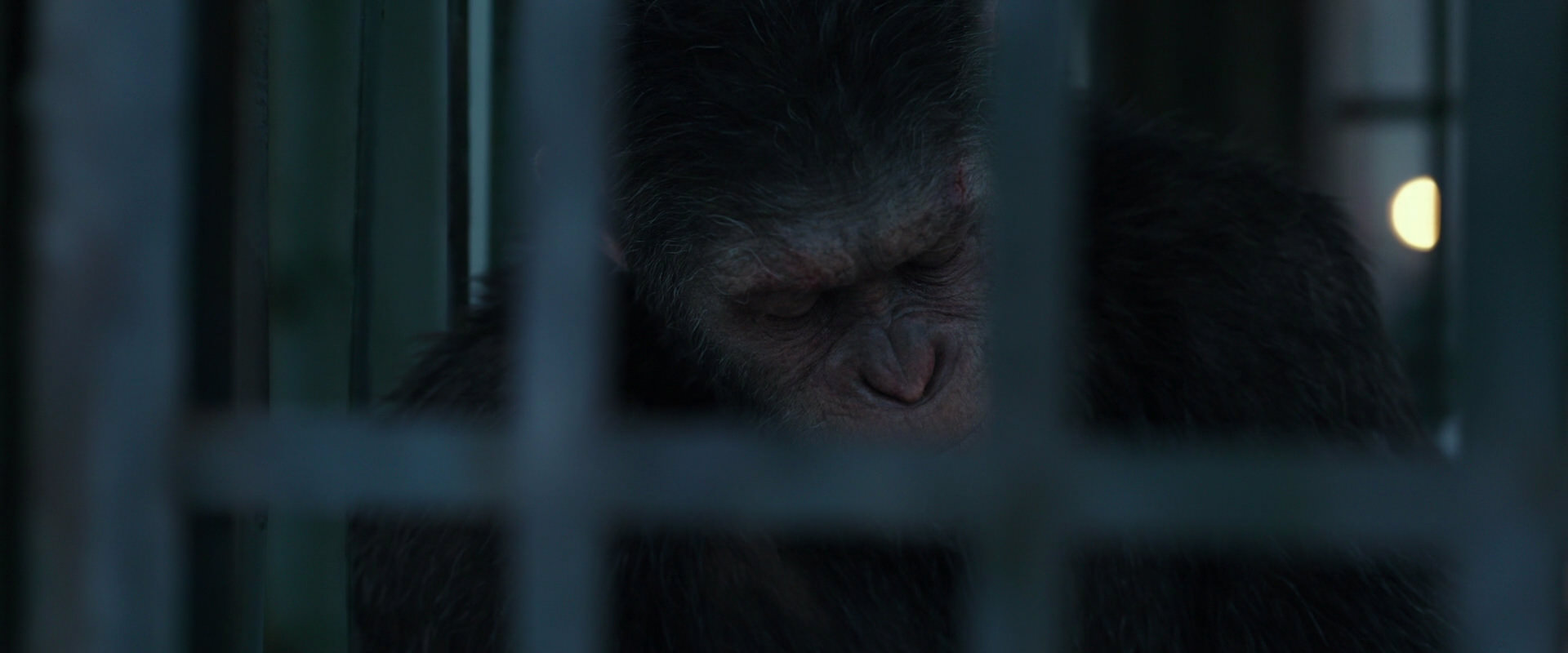 War for the Planet of the Apes (2017) screencap 11502