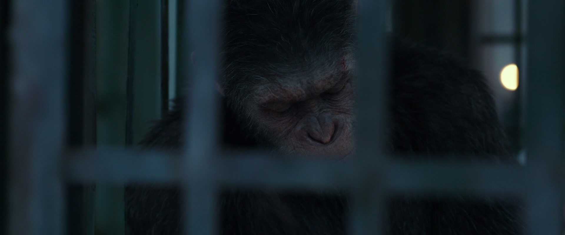 War for the Planet of the Apes (2017) movie still 11503