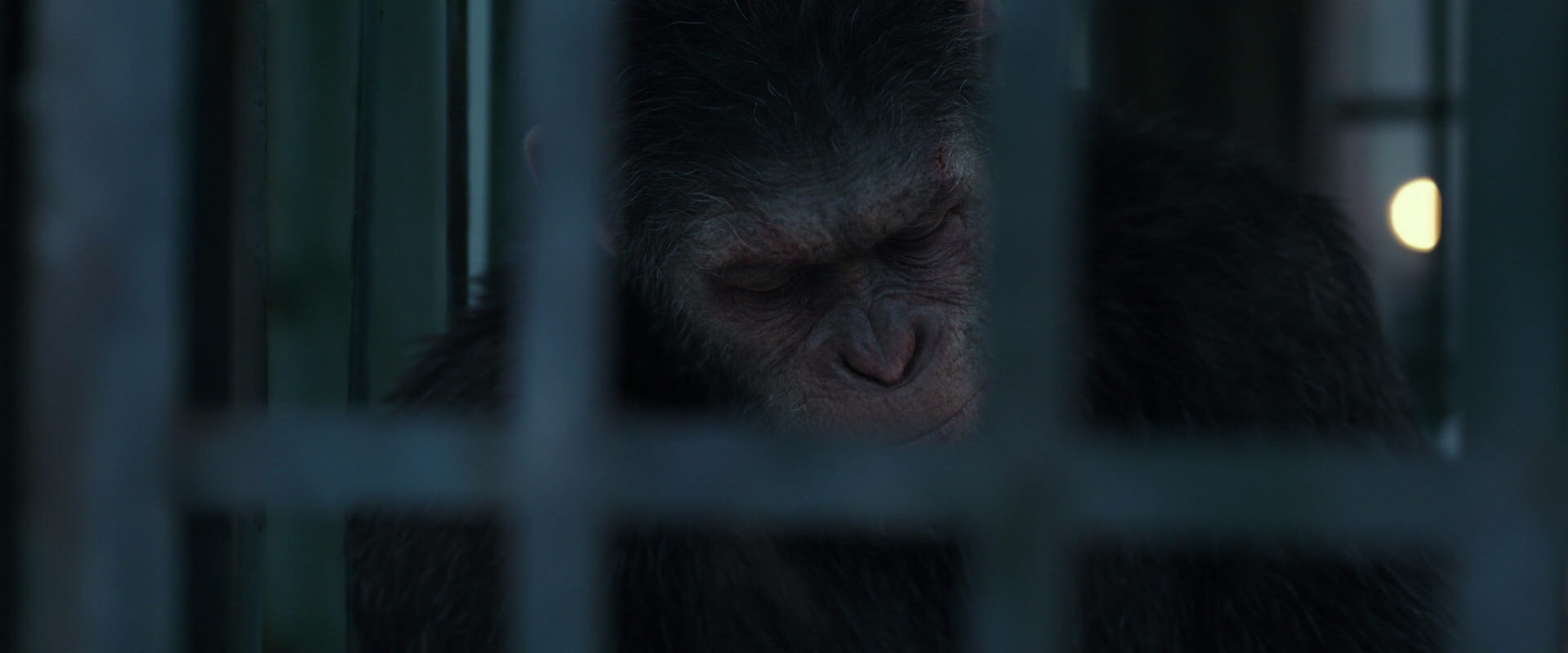 War for the Planet of the Apes (2017) HD screenshot 11504