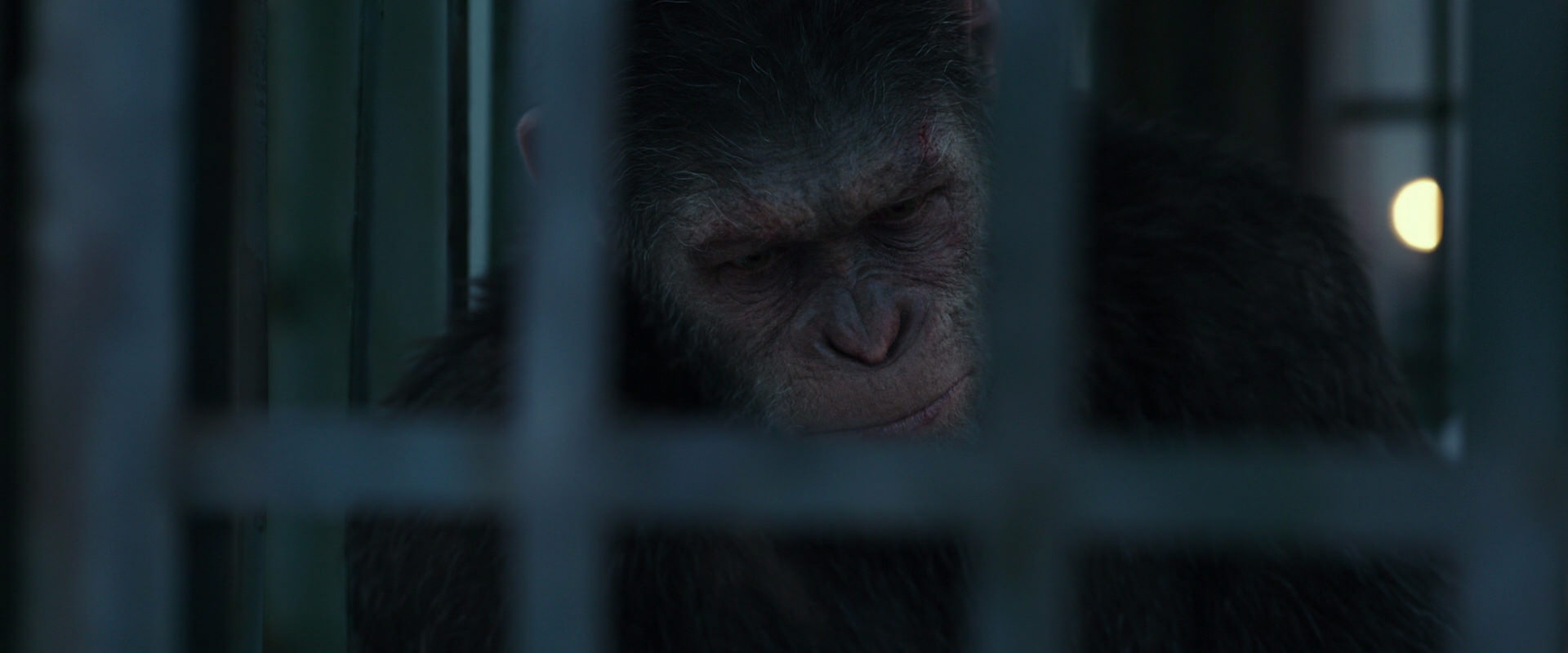 War for the Planet of the Apes (2017) screencap 11505