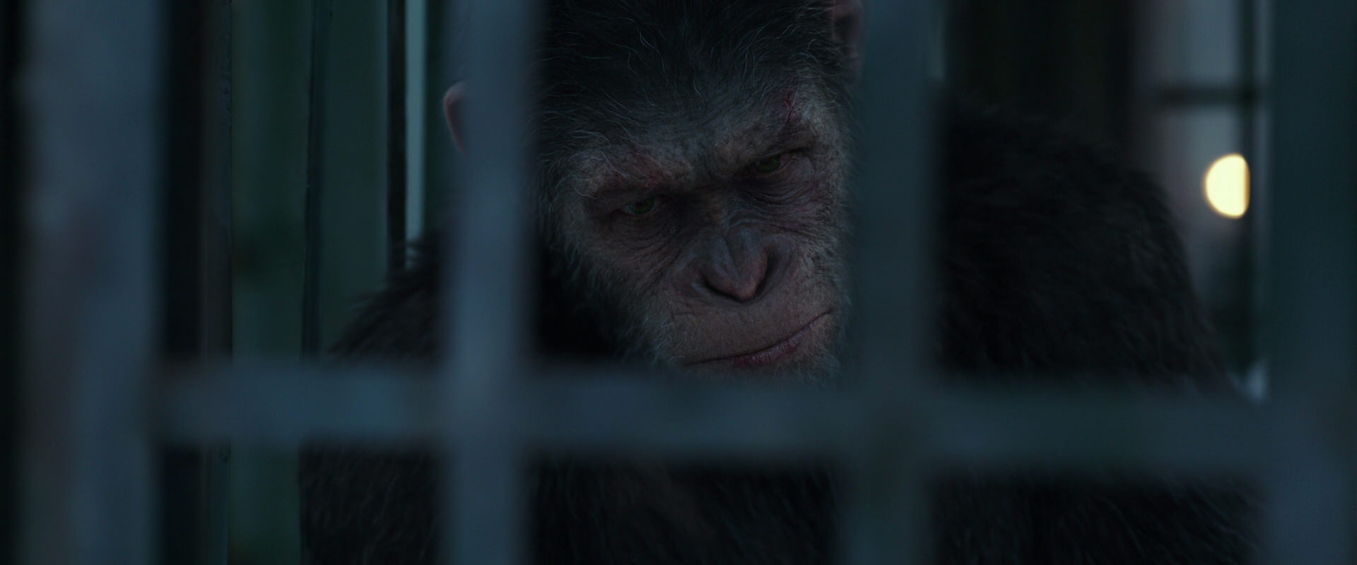 War for the Planet of the Apes (2017) movie still 11506