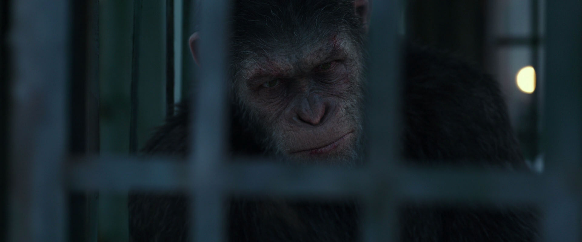 War for the Planet of the Apes (2017) HD screenshot 11507