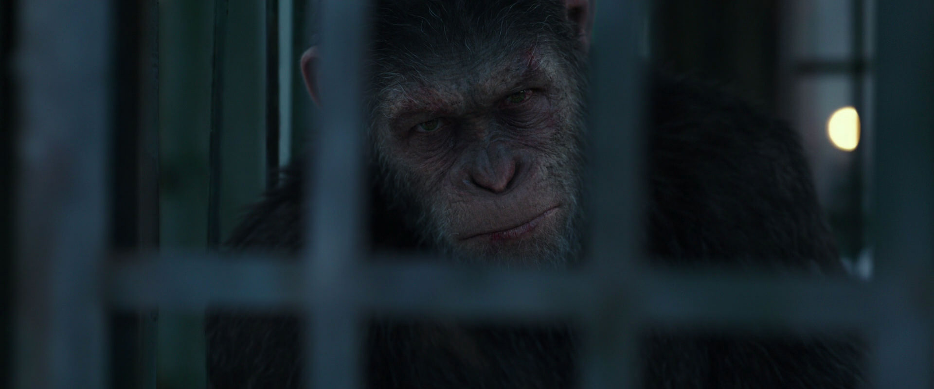 War for the Planet of the Apes (2017) screencap 11508