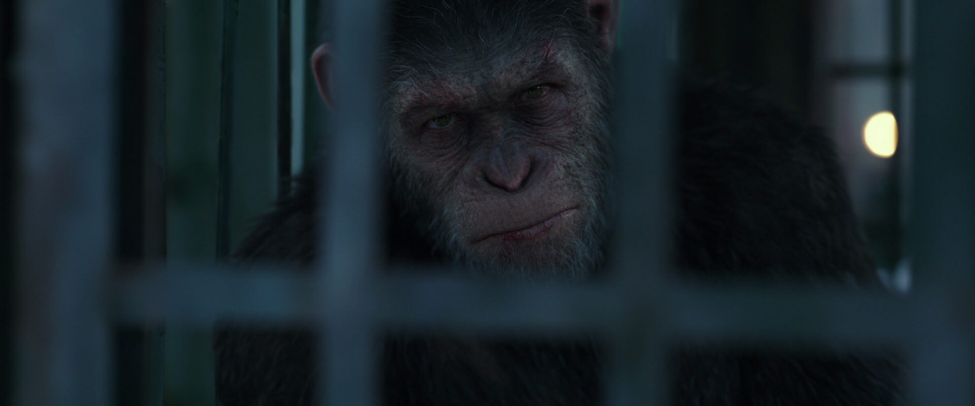 War for the Planet of the Apes (2017) movie still 11509