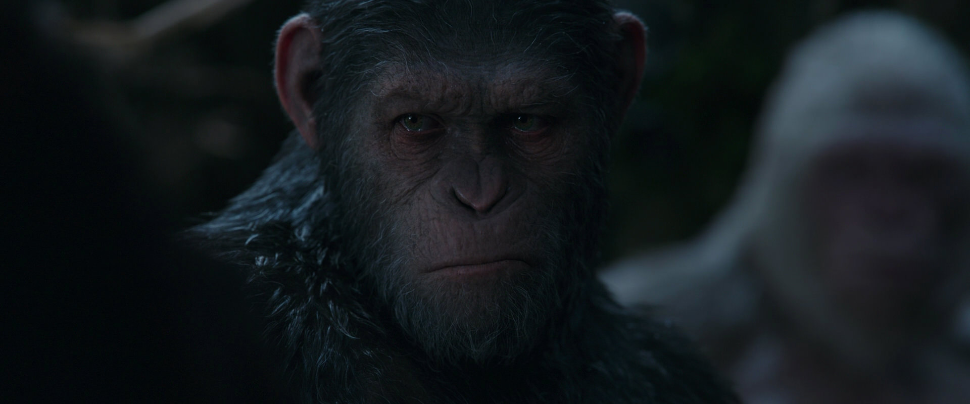 War for the Planet of the Apes (2017) HD screenshot 1151