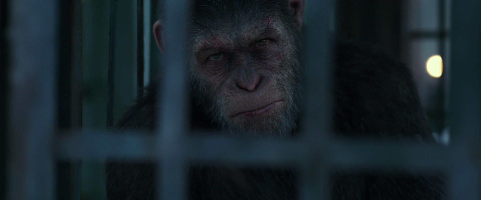 War for the Planet of the Apes (2017) HD screenshot 11510