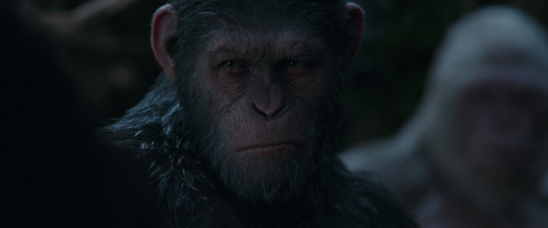 War for the Planet of the Apes (2017) screencap 1152
