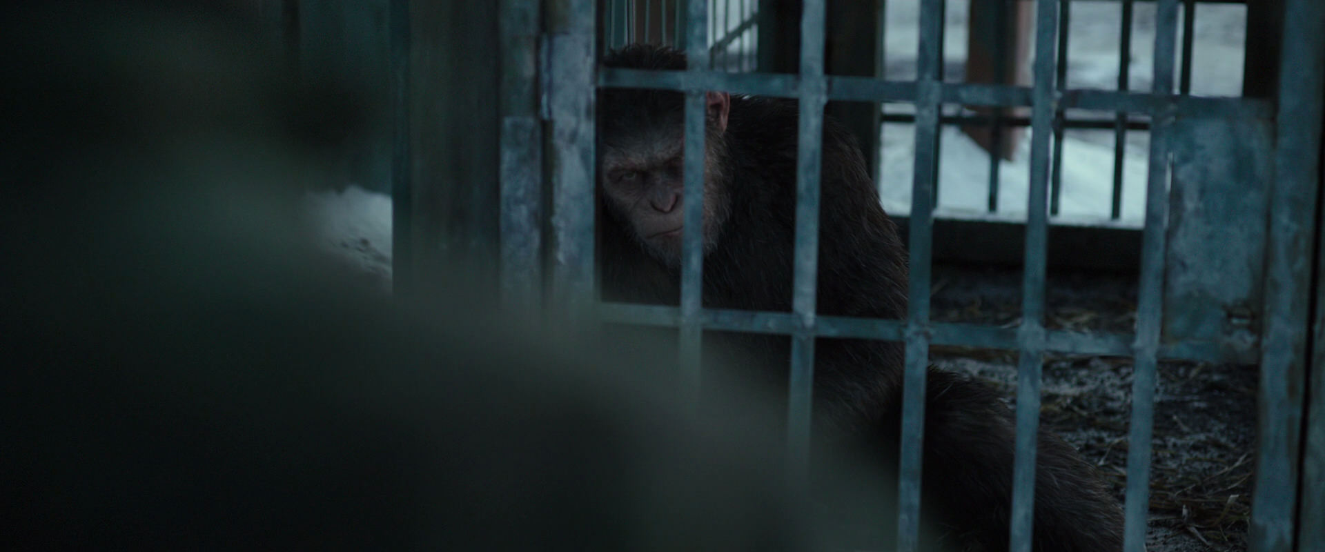 War for the Planet of the Apes (2017) screencap 11523