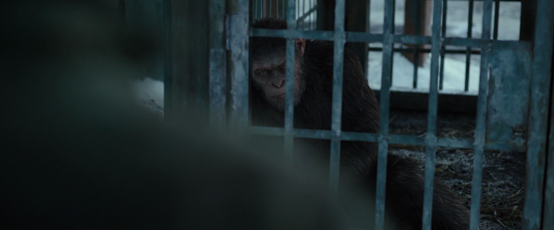 War for the Planet of the Apes (2017) movie still 11524