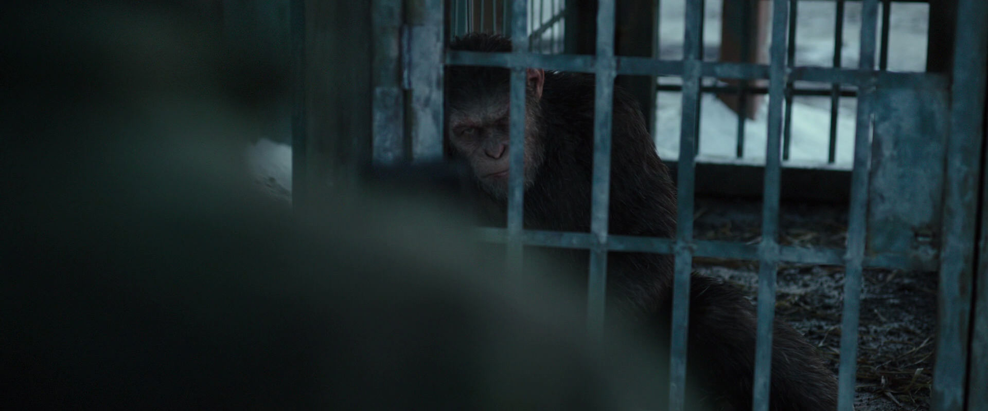 War for the Planet of the Apes (2017) HD screenshot 11525
