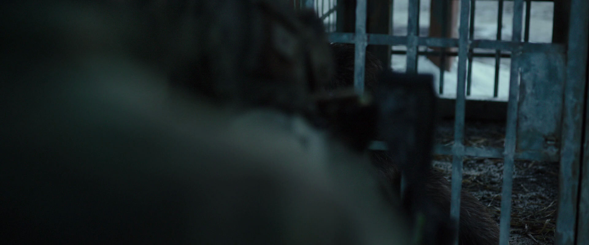 War for the Planet of the Apes (2017) screencap 11526