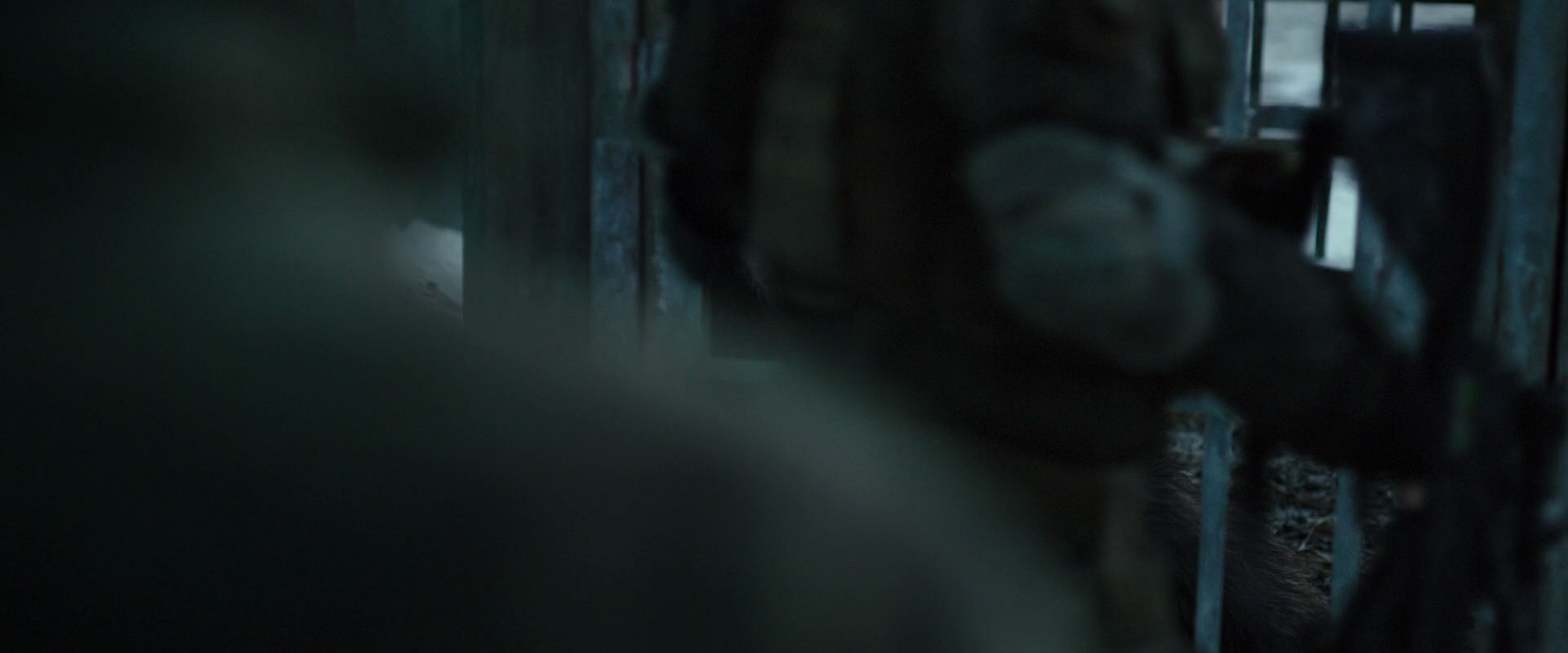 War for the Planet of the Apes (2017) movie still 11527
