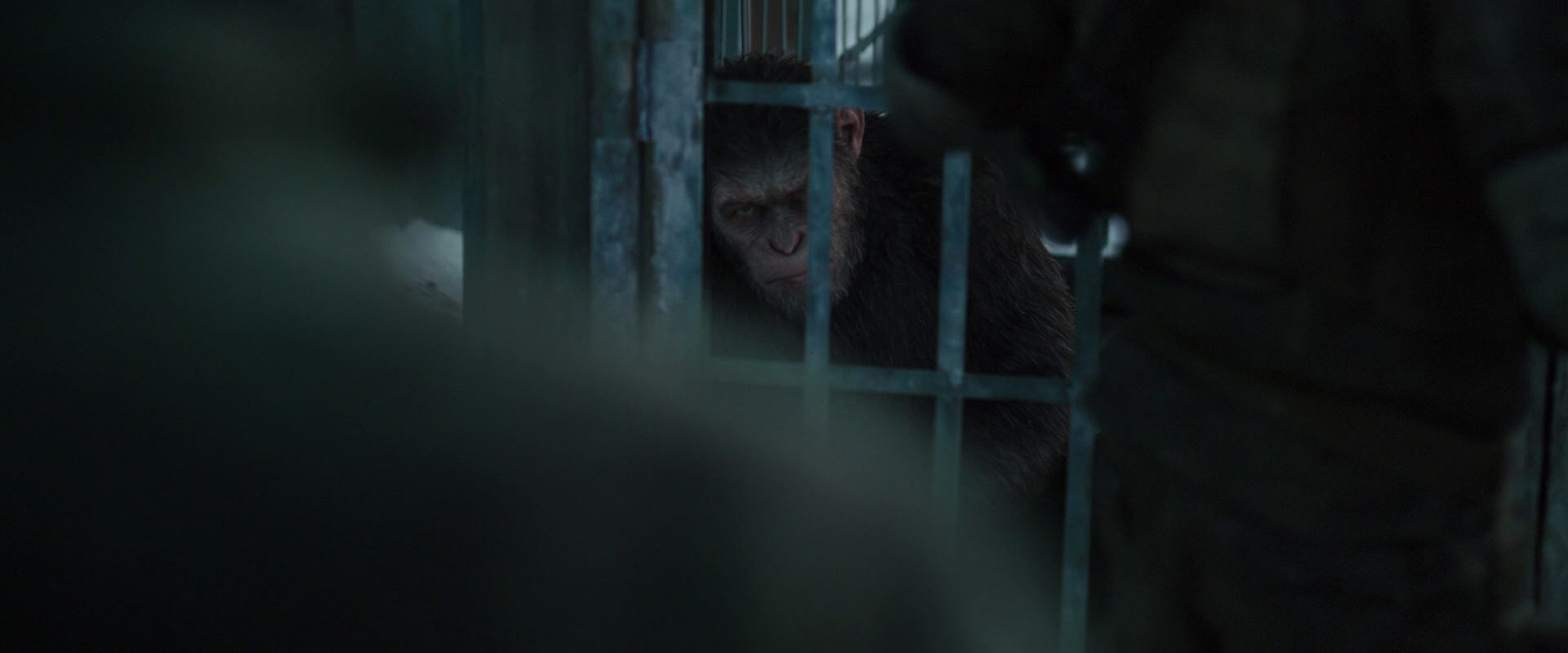 War for the Planet of the Apes (2017) HD screenshot 11528