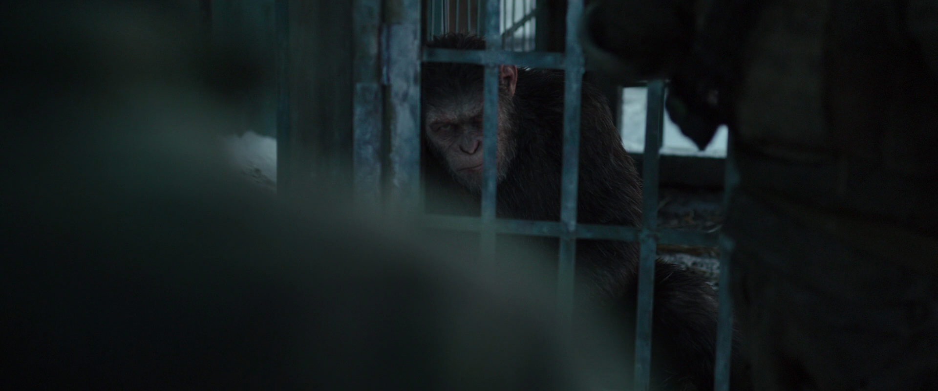 War for the Planet of the Apes (2017) screencap 11529