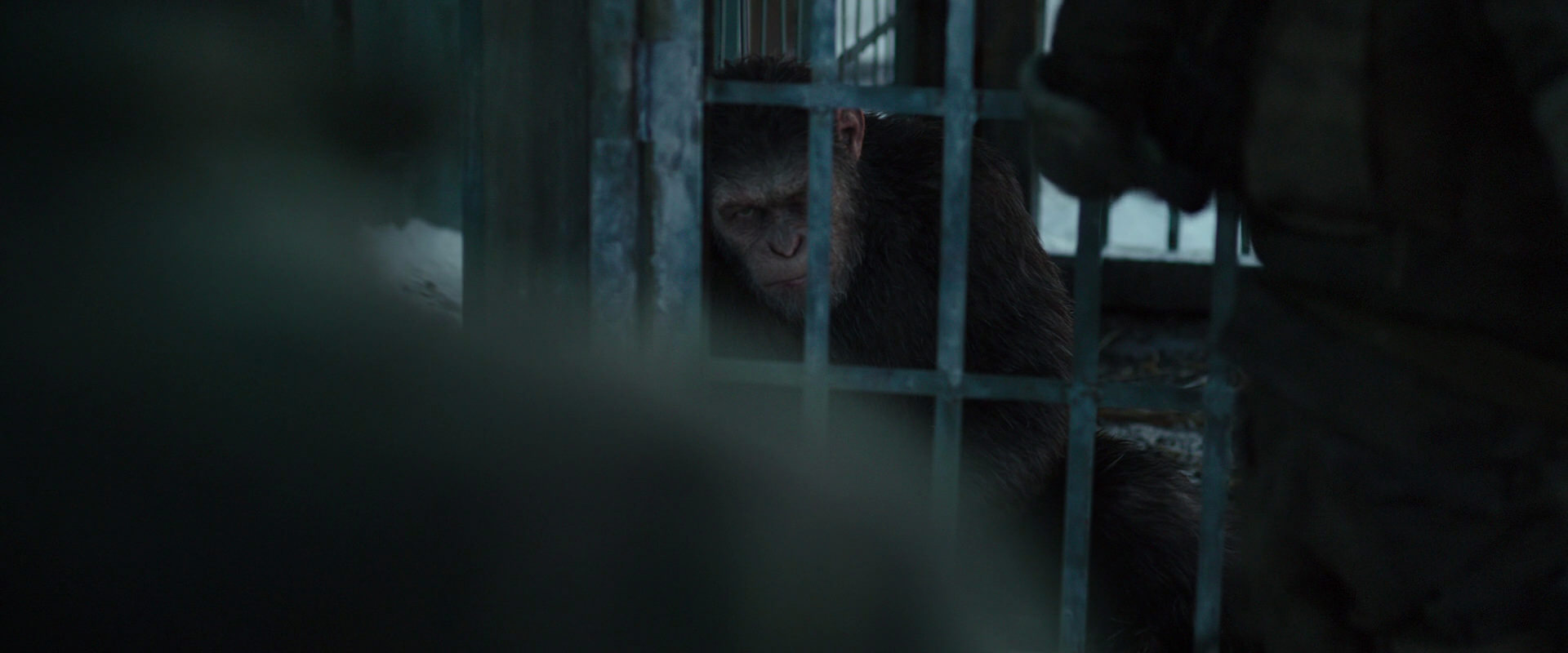 War for the Planet of the Apes (2017) movie still 11530