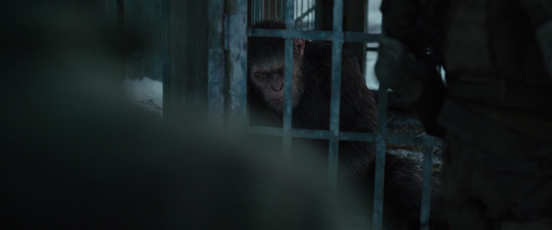 War for the Planet of the Apes (2017) HD screenshot 11531