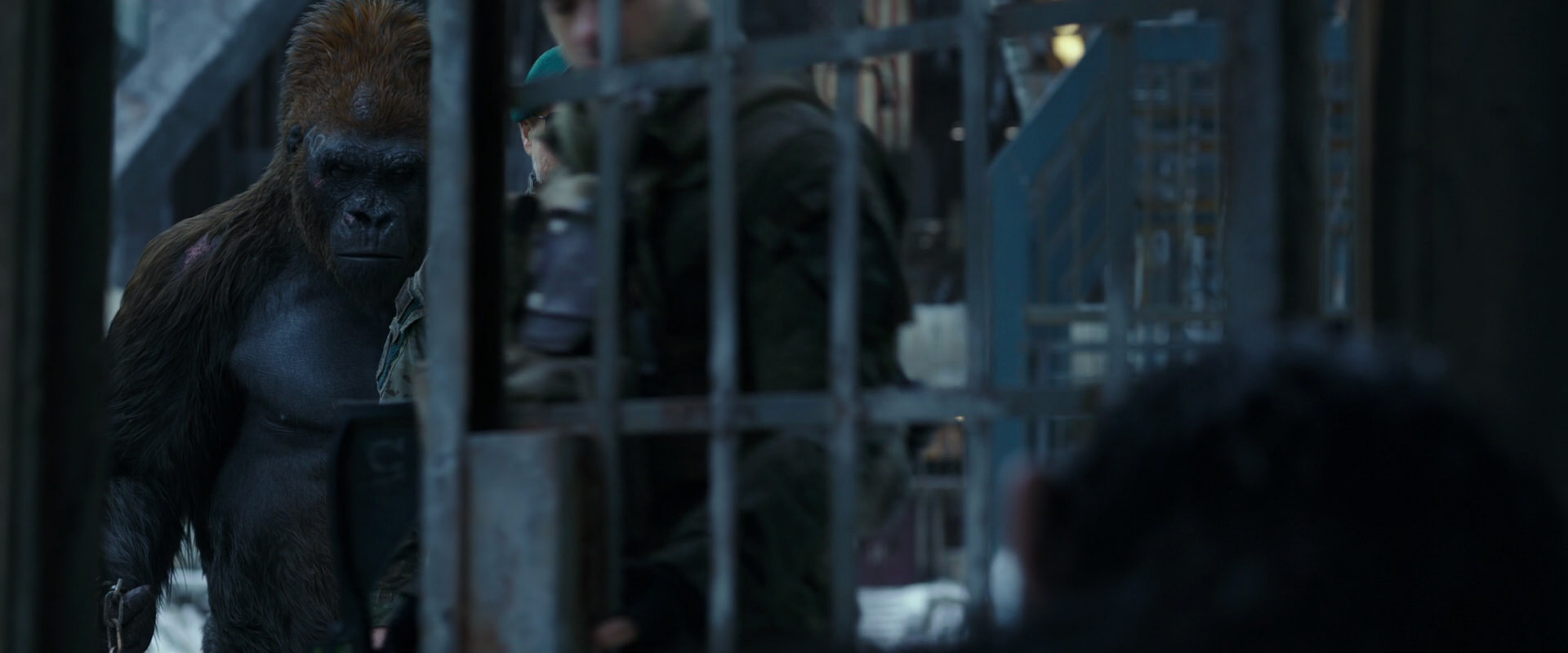 War for the Planet of the Apes (2017) HD screenshot 11534