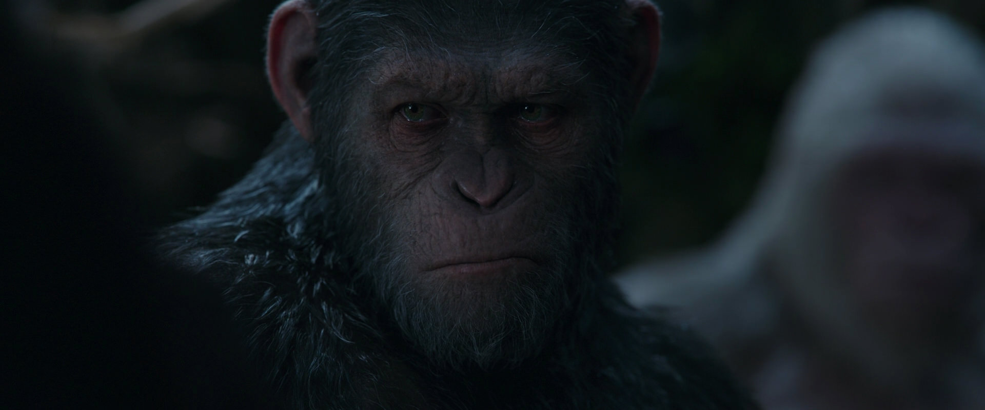 War for the Planet of the Apes (2017) HD screenshot 1154