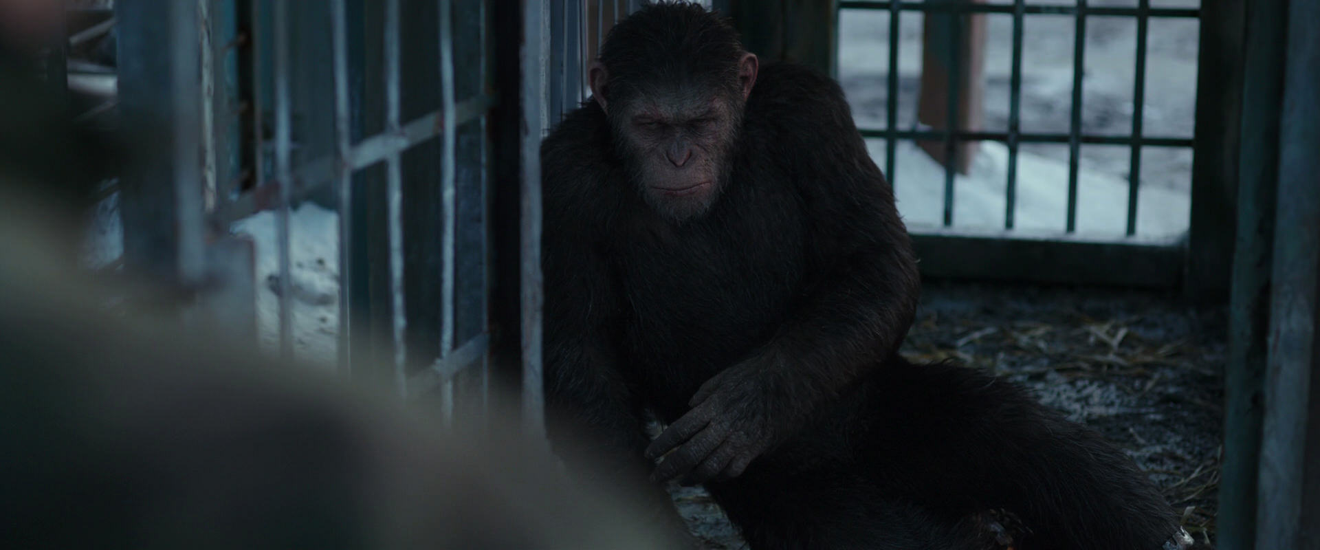 War for the Planet of the Apes (2017) screencap 11544