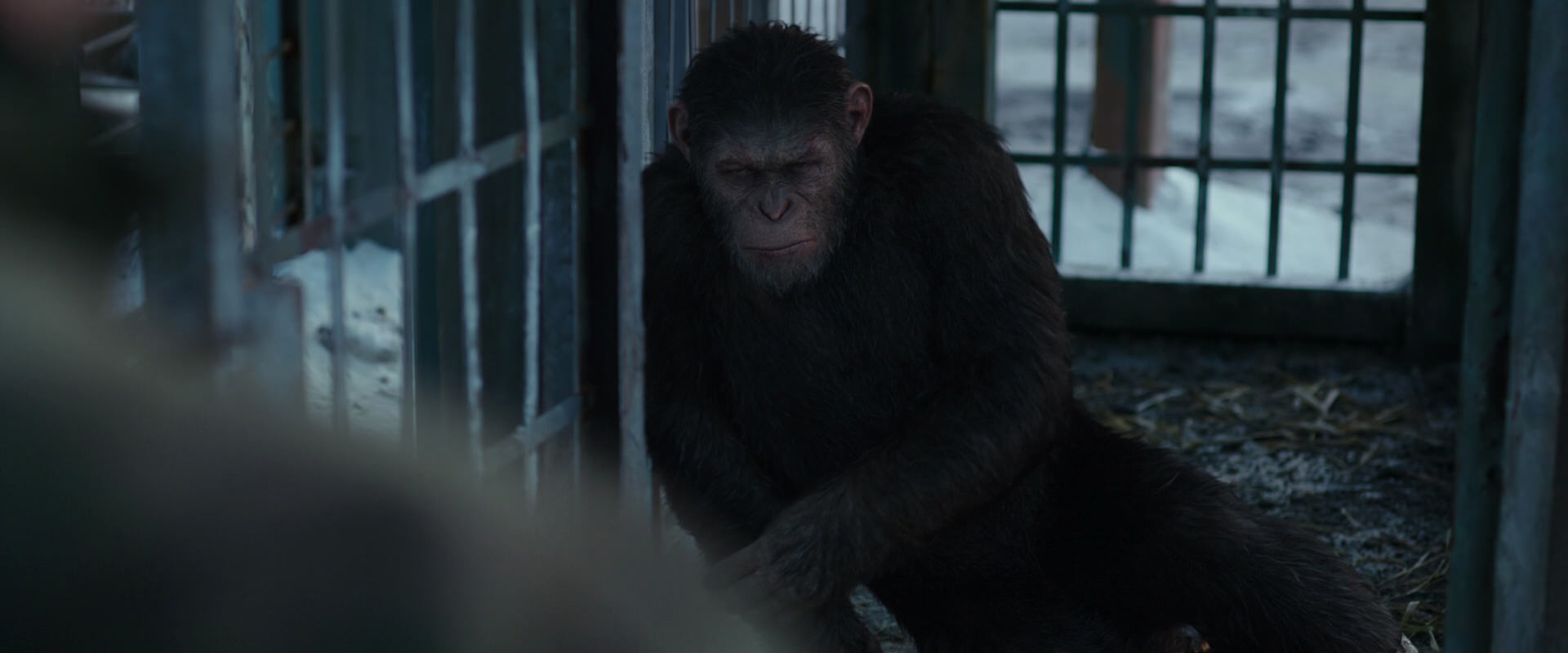 War for the Planet of the Apes (2017) movie still 11545