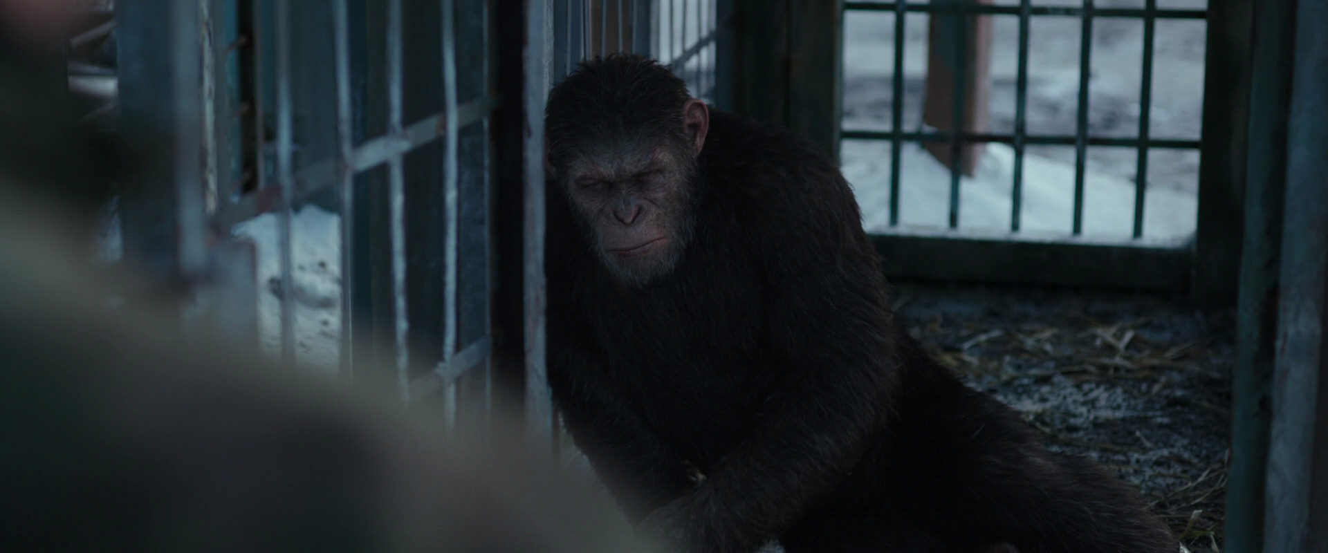 War for the Planet of the Apes (2017) HD screenshot 11546