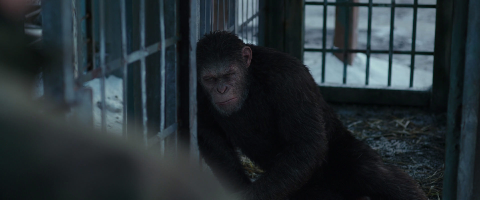 War for the Planet of the Apes (2017) screencap 11547