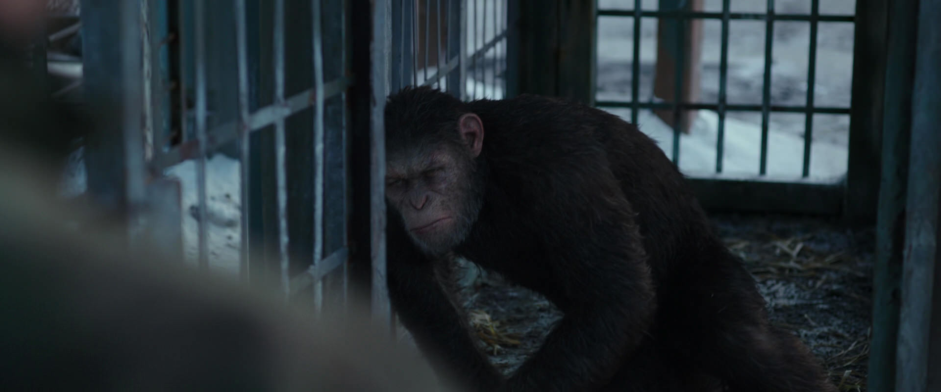 War for the Planet of the Apes (2017) movie still 11548