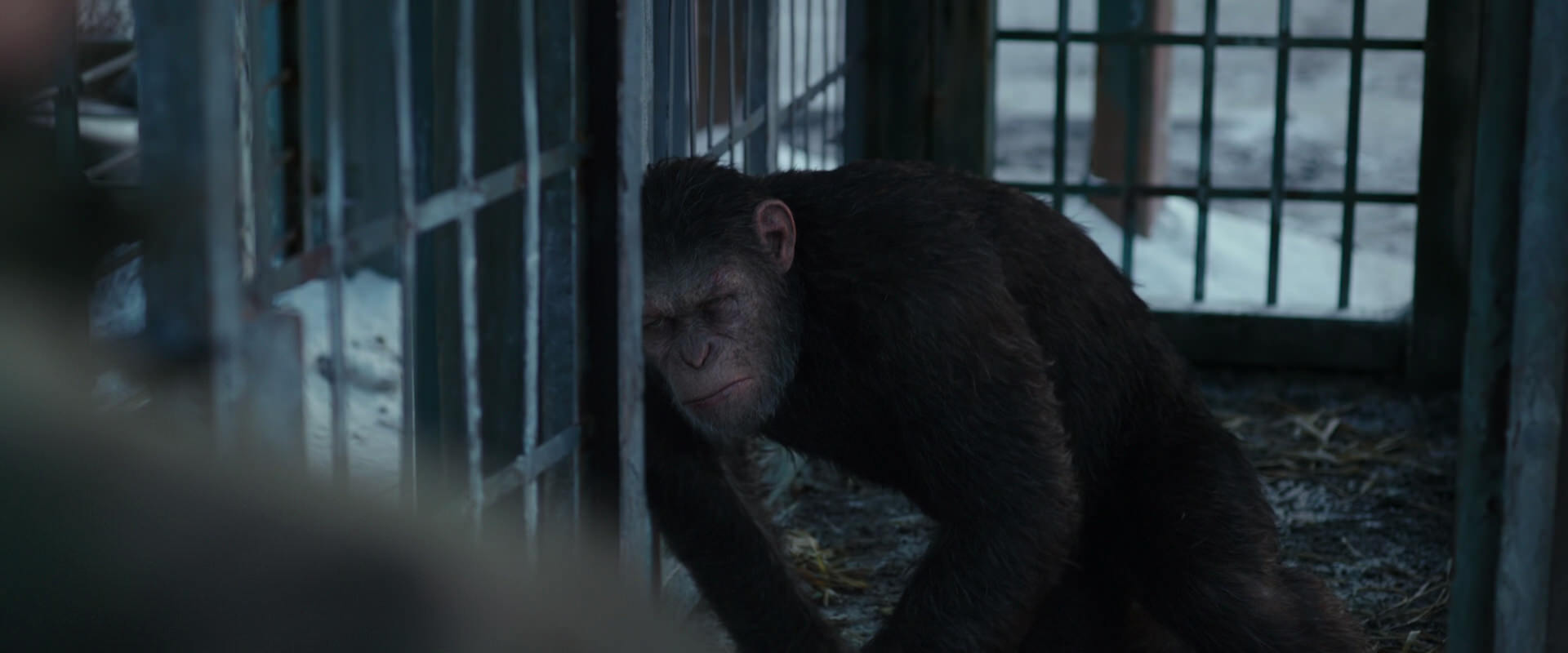 War for the Planet of the Apes (2017) HD screenshot 11549
