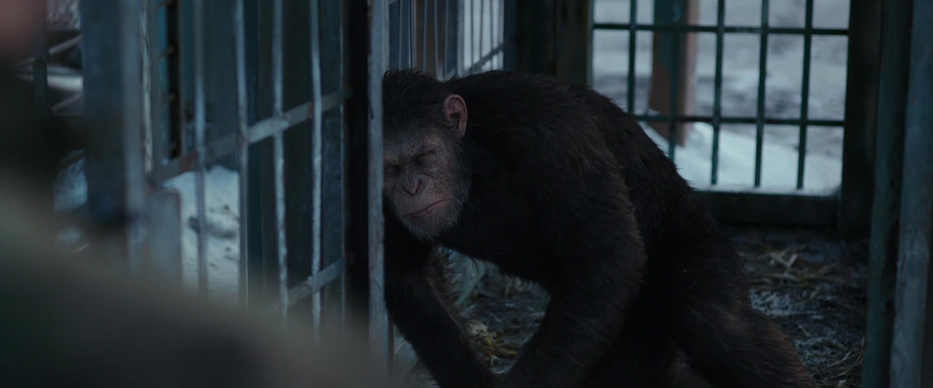 War for the Planet of the Apes (2017) screencap 11550