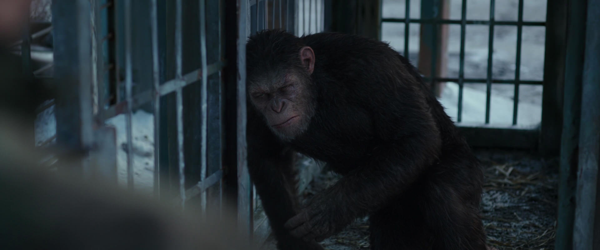War for the Planet of the Apes (2017) movie still 11551