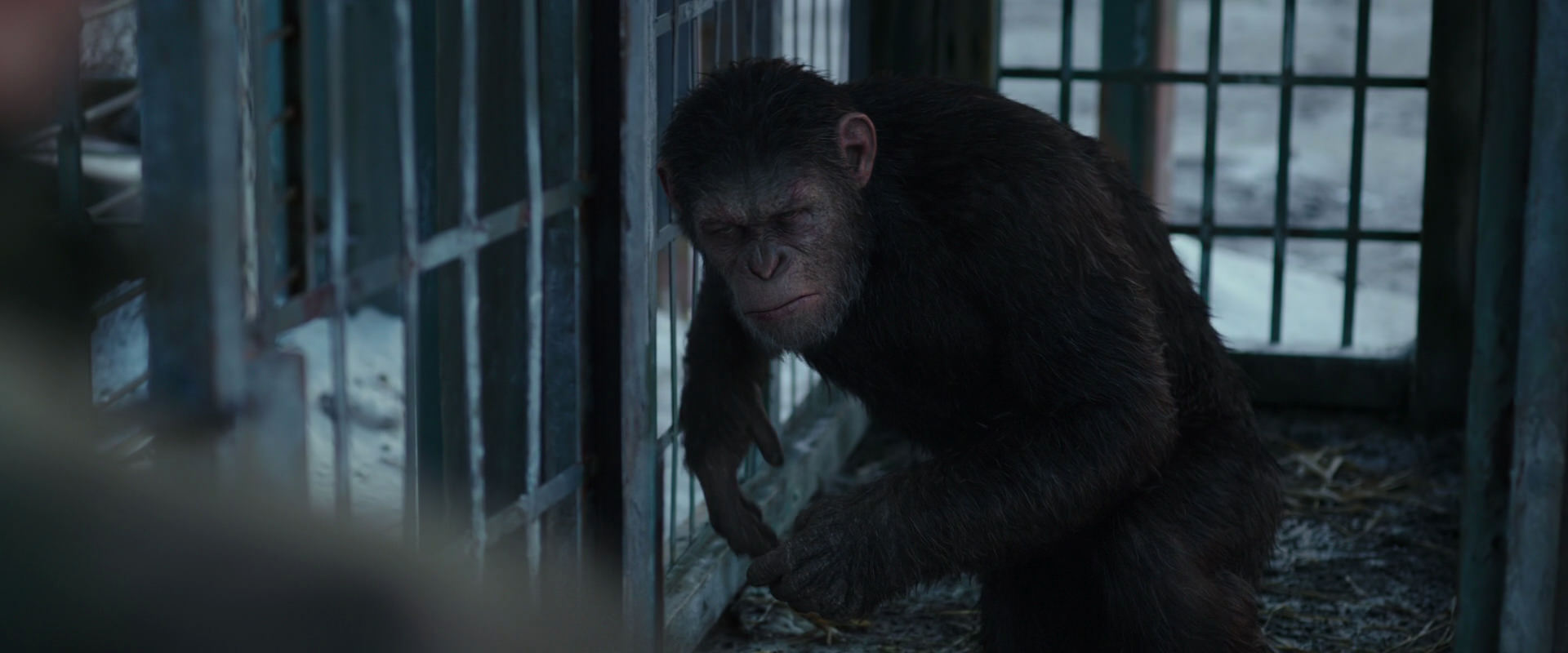 War for the Planet of the Apes (2017) HD screenshot 11552