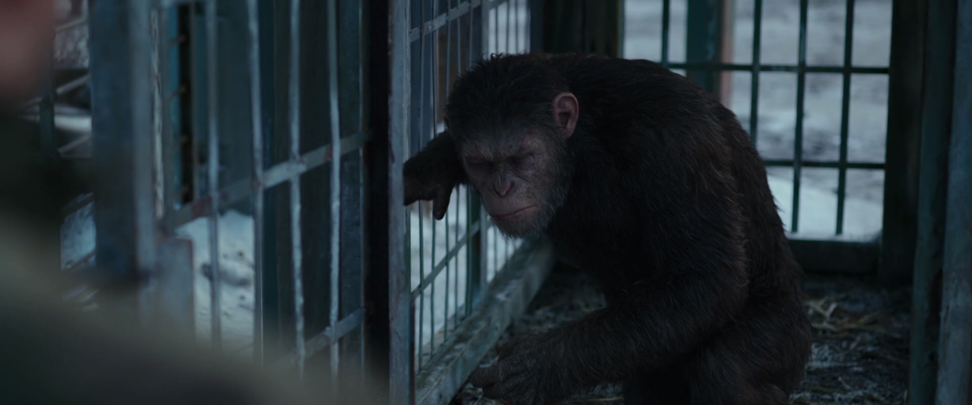 War for the Planet of the Apes (2017) screencap 11553