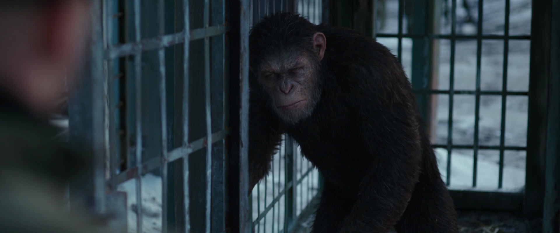 War for the Planet of the Apes (2017) movie still 11557