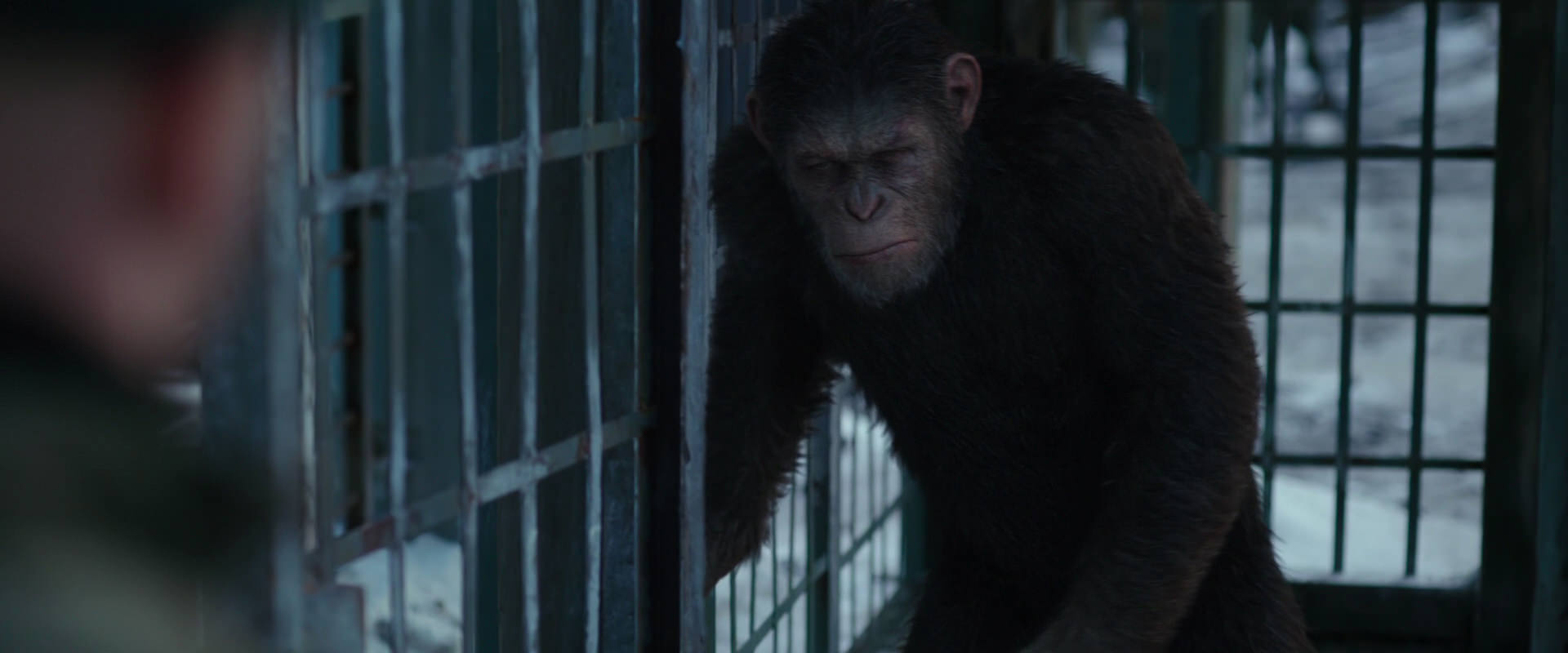 War for the Planet of the Apes (2017) HD screenshot 11558