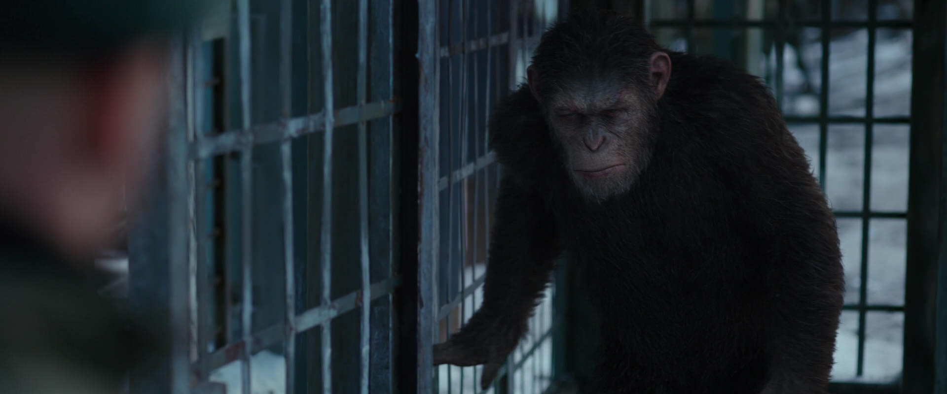 War for the Planet of the Apes (2017) screencap 11559