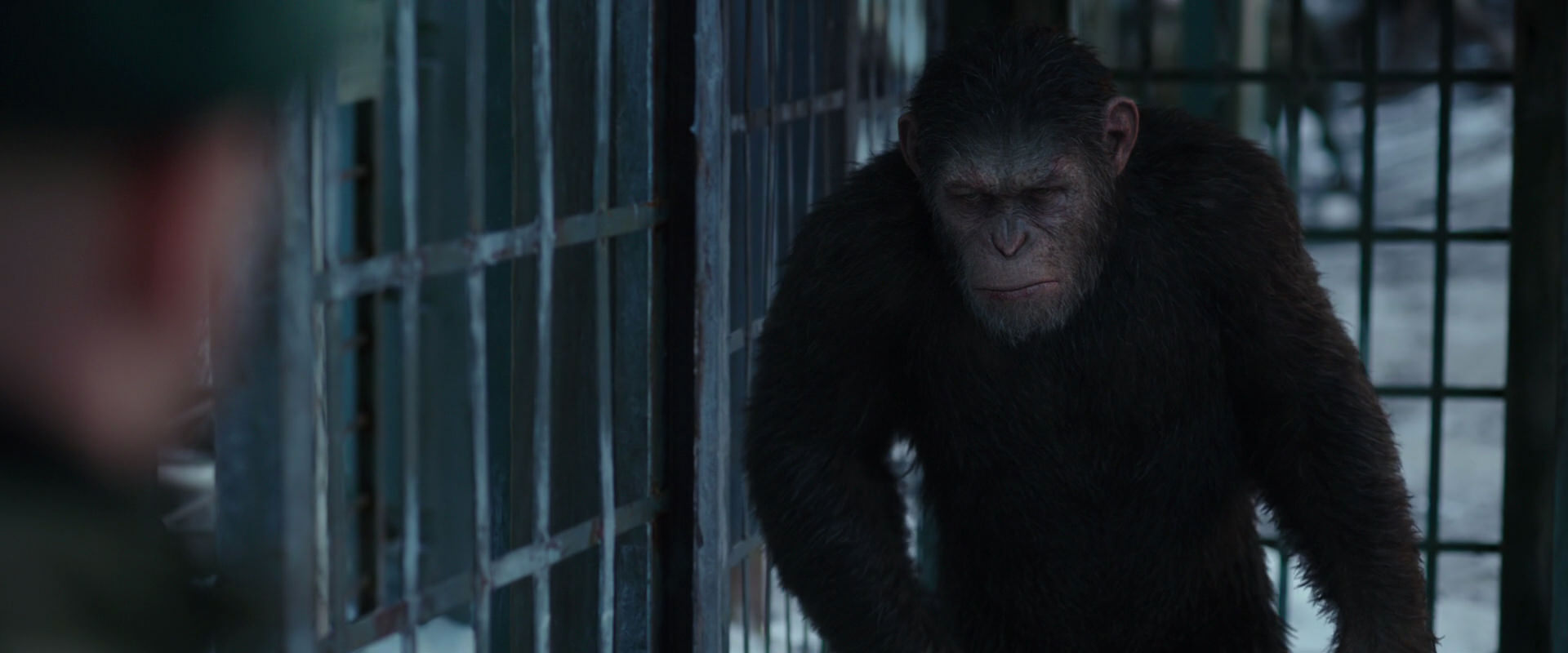 War for the Planet of the Apes (2017) movie still 11560