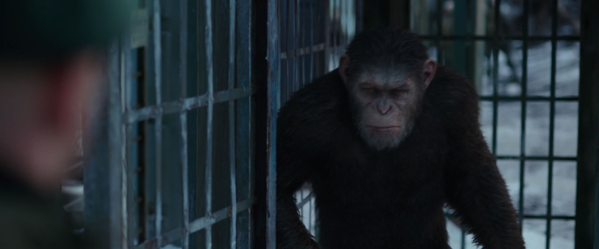 War for the Planet of the Apes (2017) HD screenshot 11561