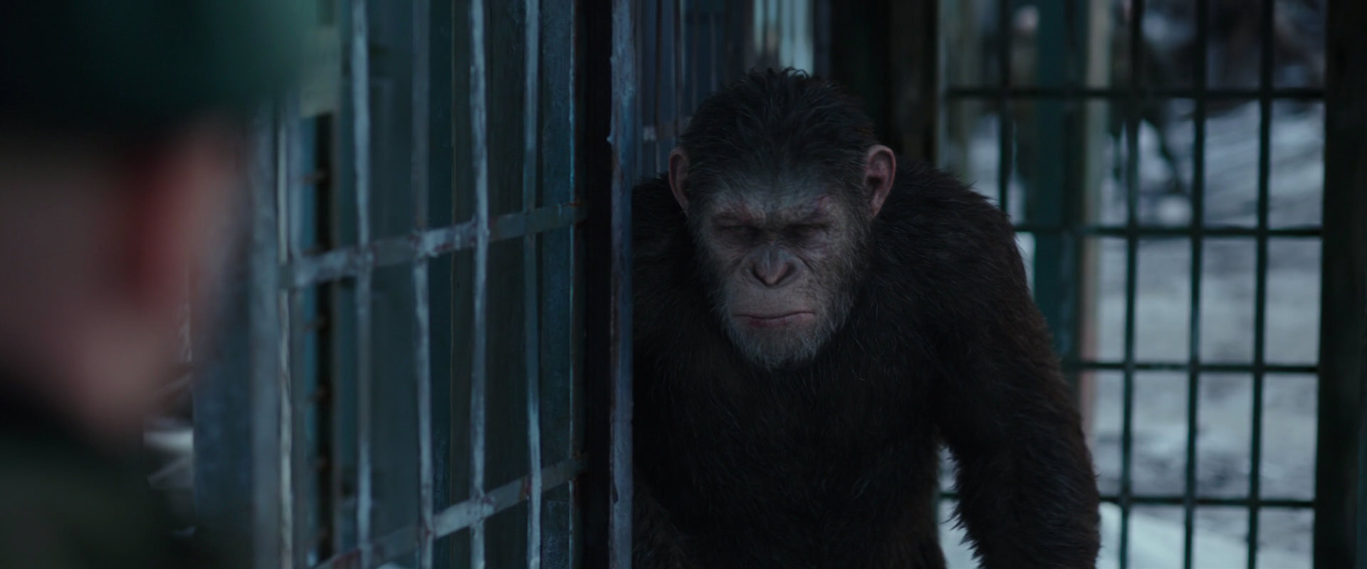 War for the Planet of the Apes (2017) screencap 11562
