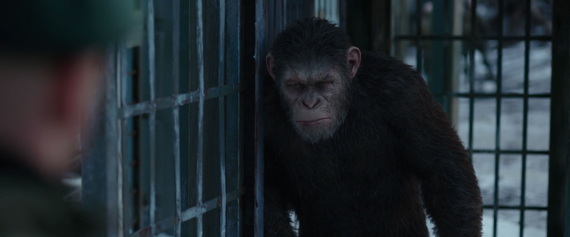 War for the Planet of the Apes (2017) movie still 11563