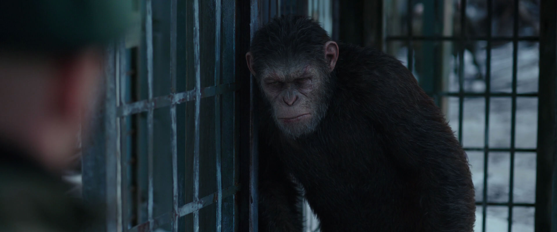 War for the Planet of the Apes (2017) HD screenshot 11564
