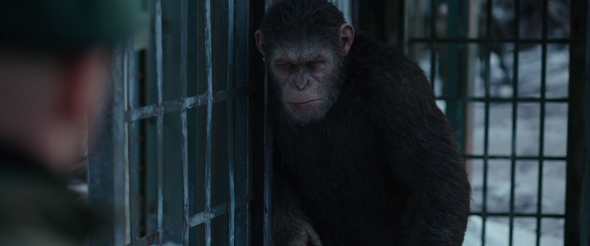 War for the Planet of the Apes (2017) screencap 11565