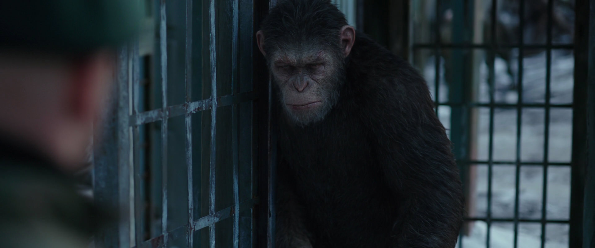 War for the Planet of the Apes (2017) movie still 11566