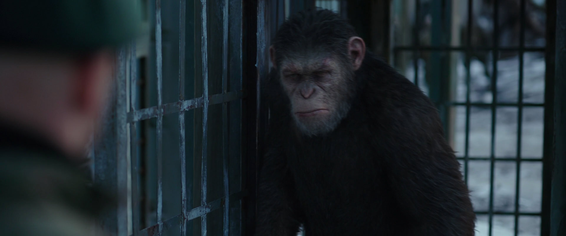 War for the Planet of the Apes (2017) HD screenshot 11567