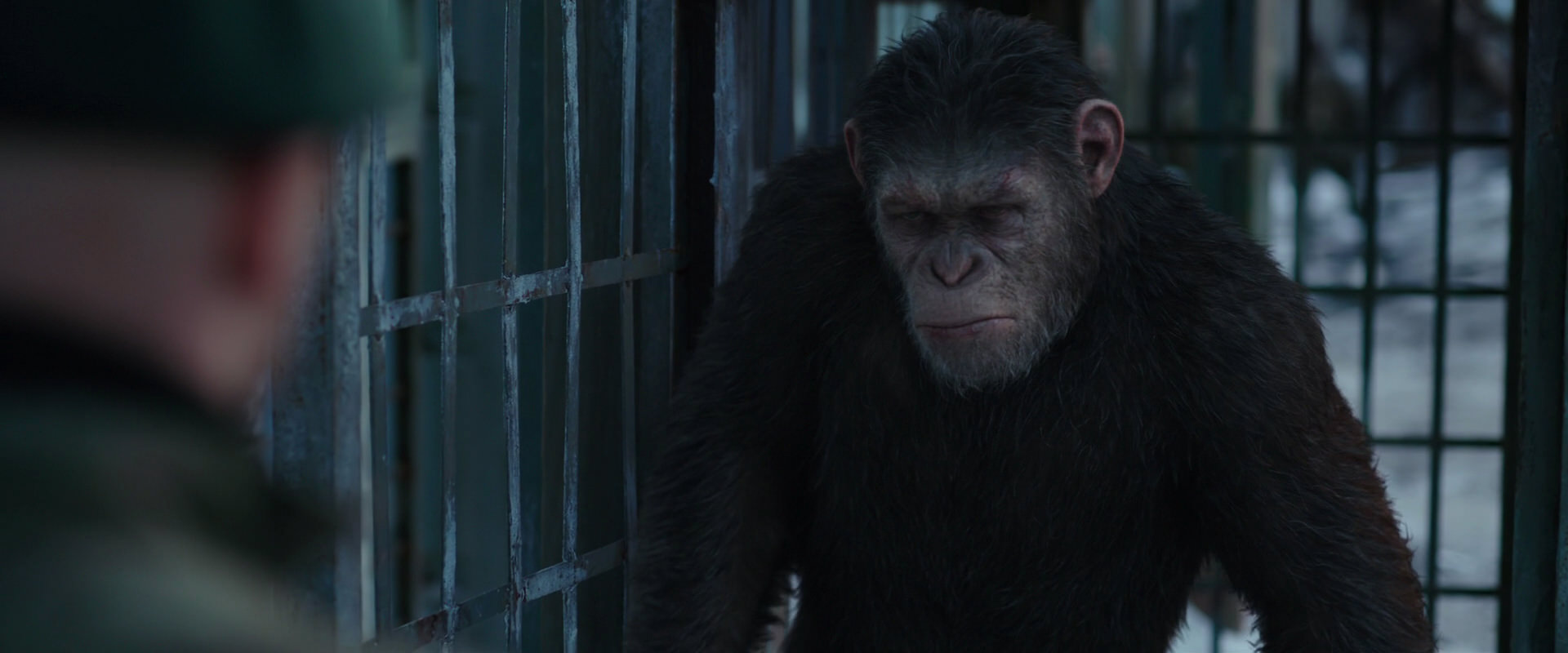 War for the Planet of the Apes (2017) screencap 11568