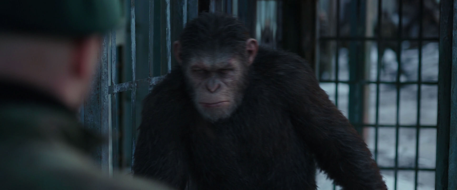War for the Planet of the Apes (2017) movie still 11569