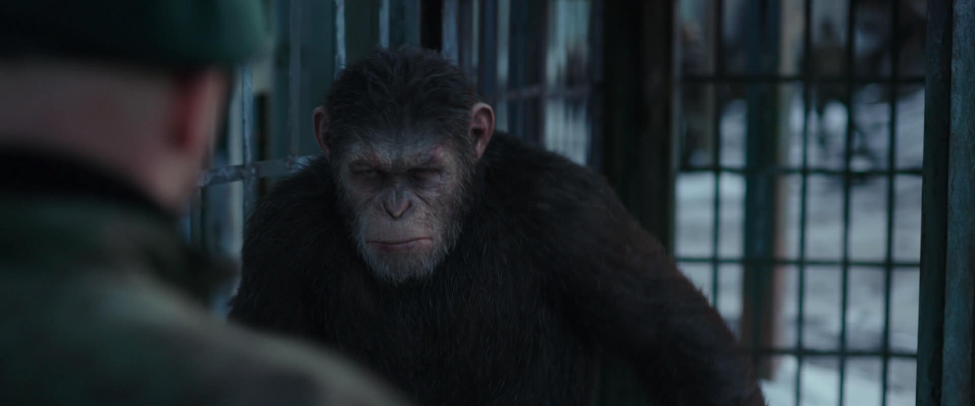 War for the Planet of the Apes (2017) HD screenshot 11570
