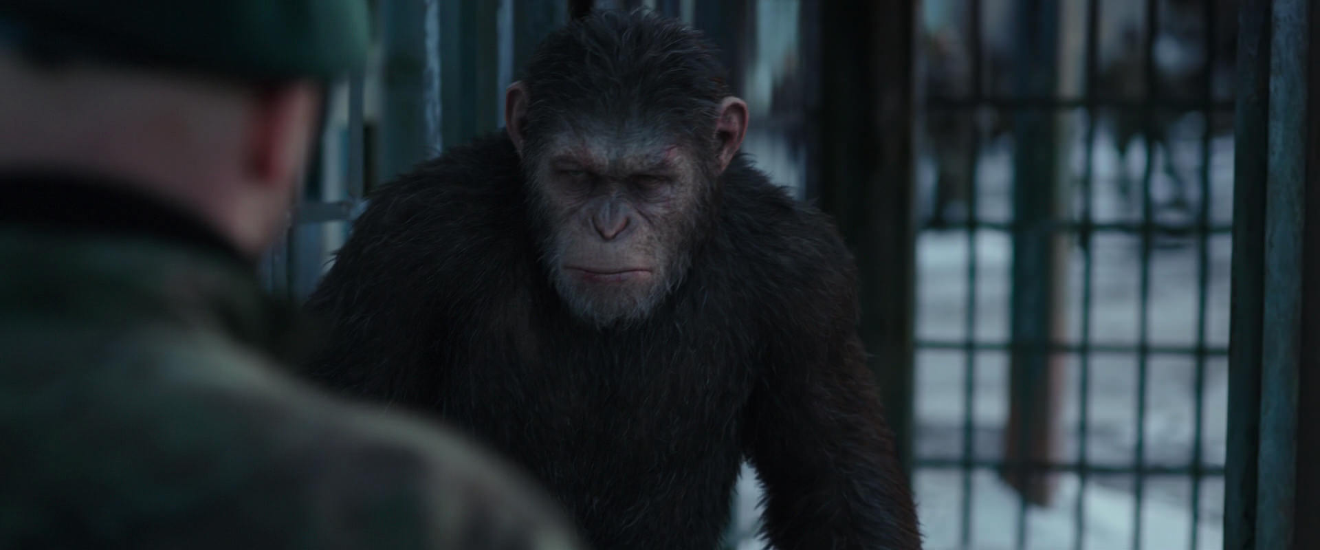 War for the Planet of the Apes (2017) screencap 11571