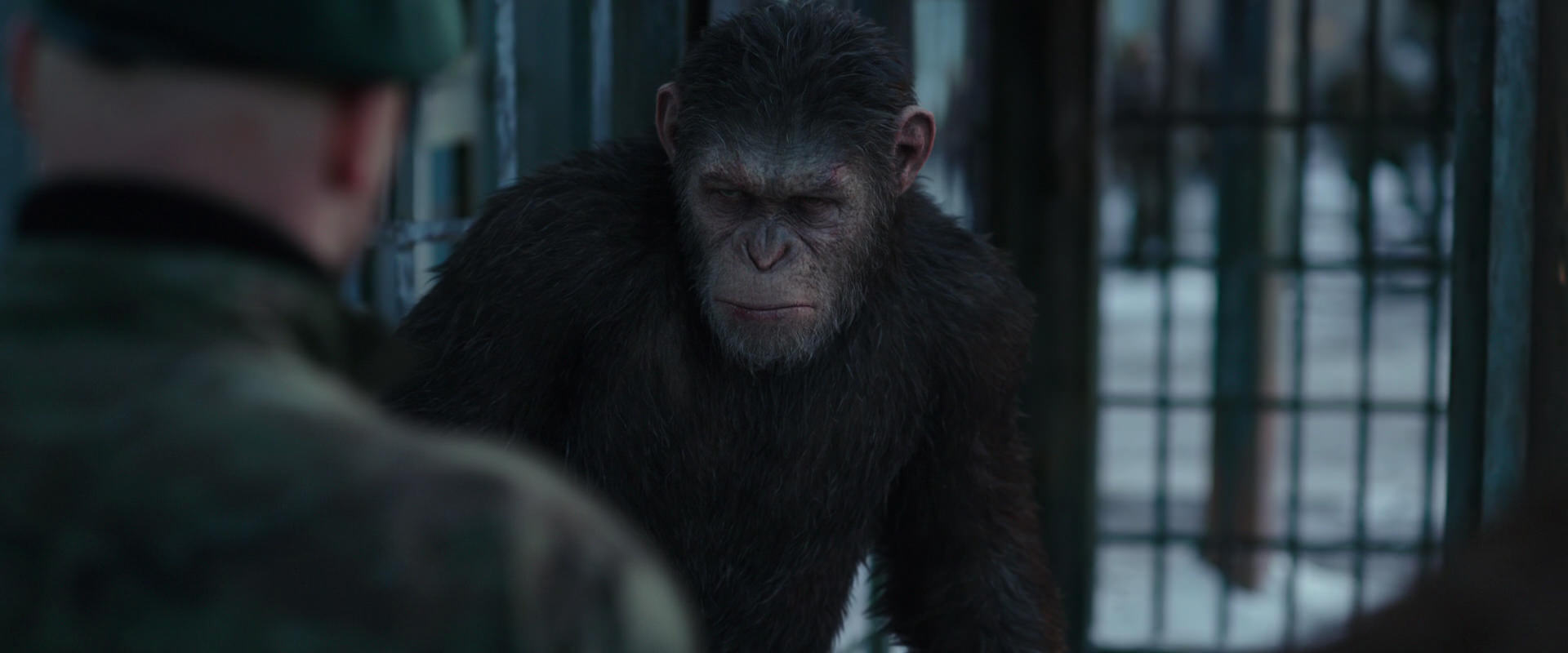 War for the Planet of the Apes (2017) movie still 11572