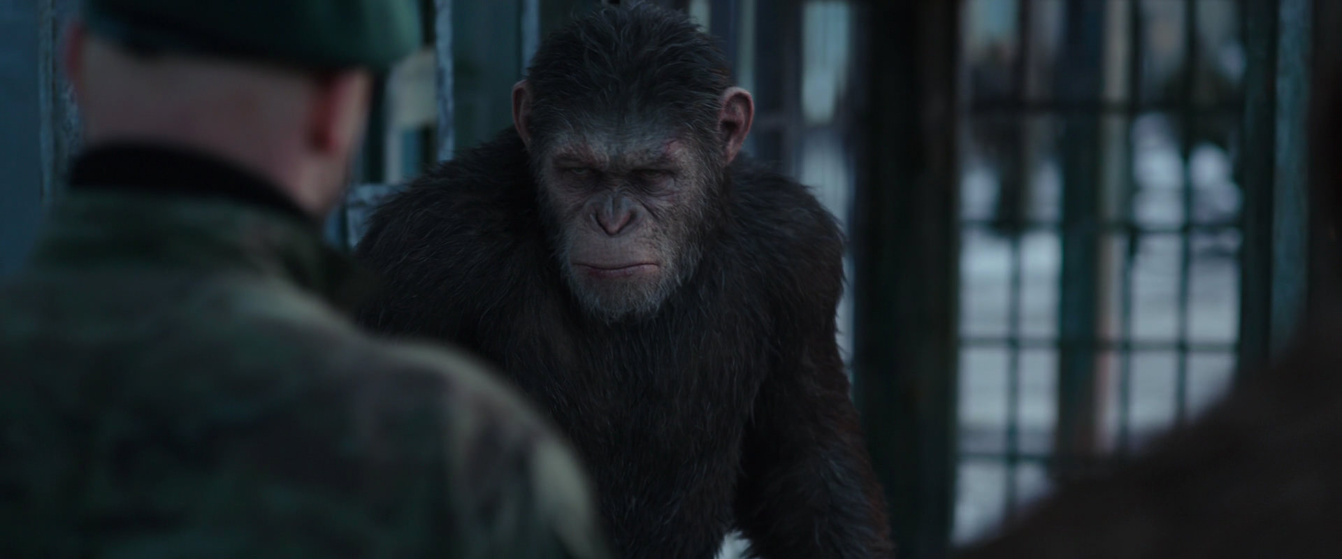 War for the Planet of the Apes (2017) HD screenshot 11573