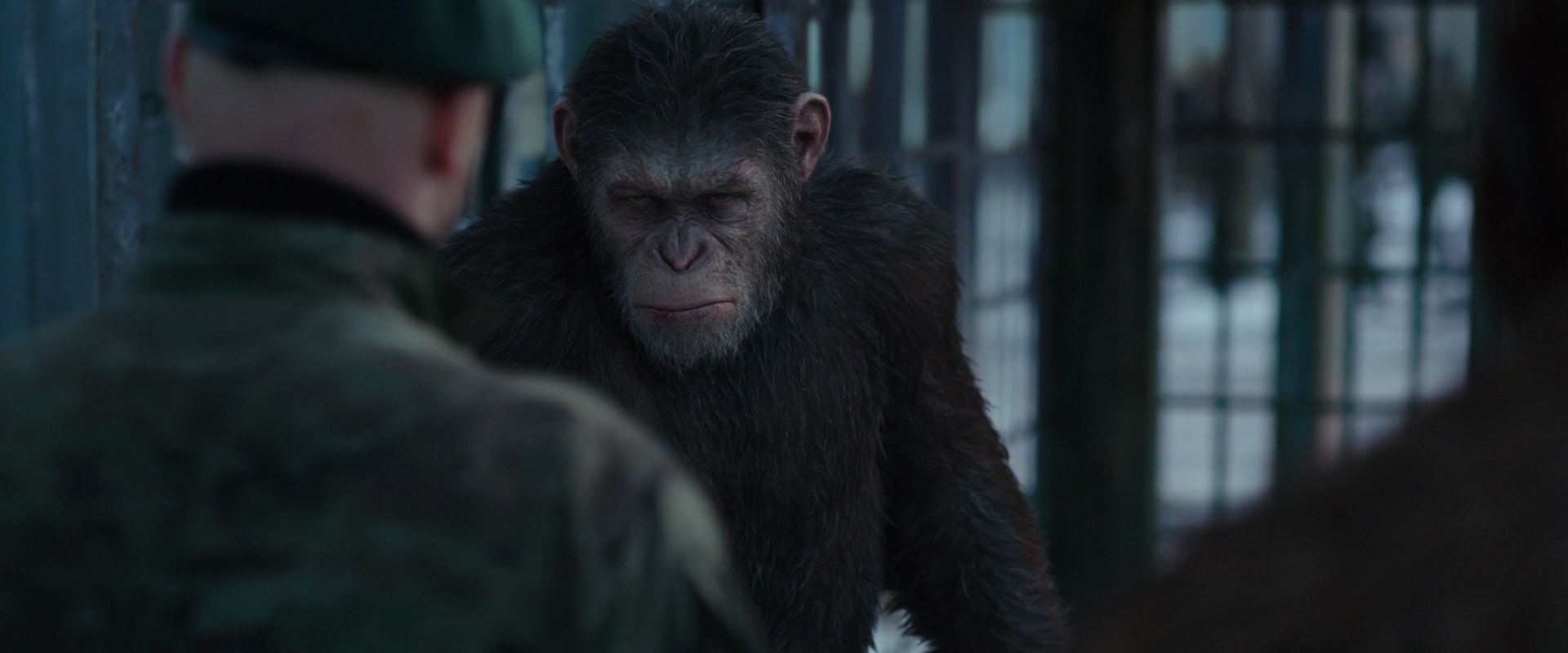War for the Planet of the Apes (2017) screencap 11574